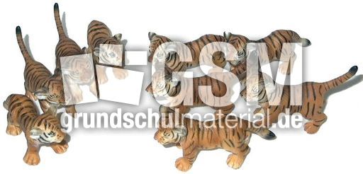 Tiger-4+5.jpg